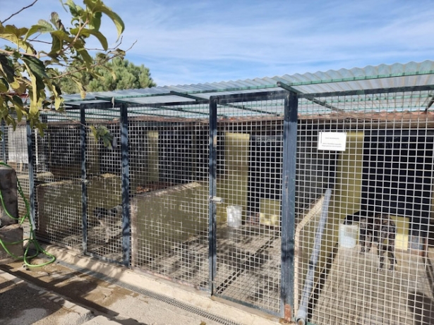 (AYUNTAMIENTO CÚLLAR VEGA) (AYUNTAMIENTO CÚLLAR VEGA)