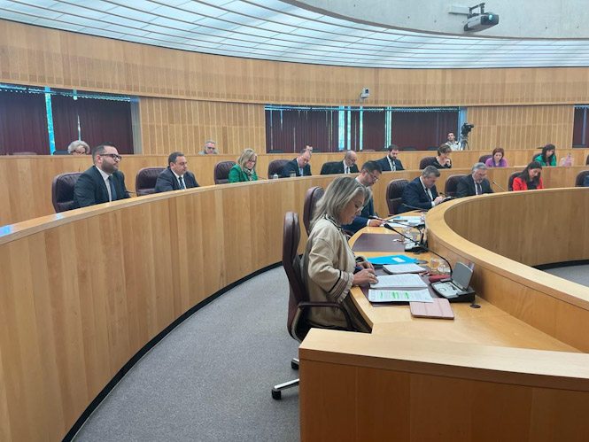 Pleno de Diputación (PP)