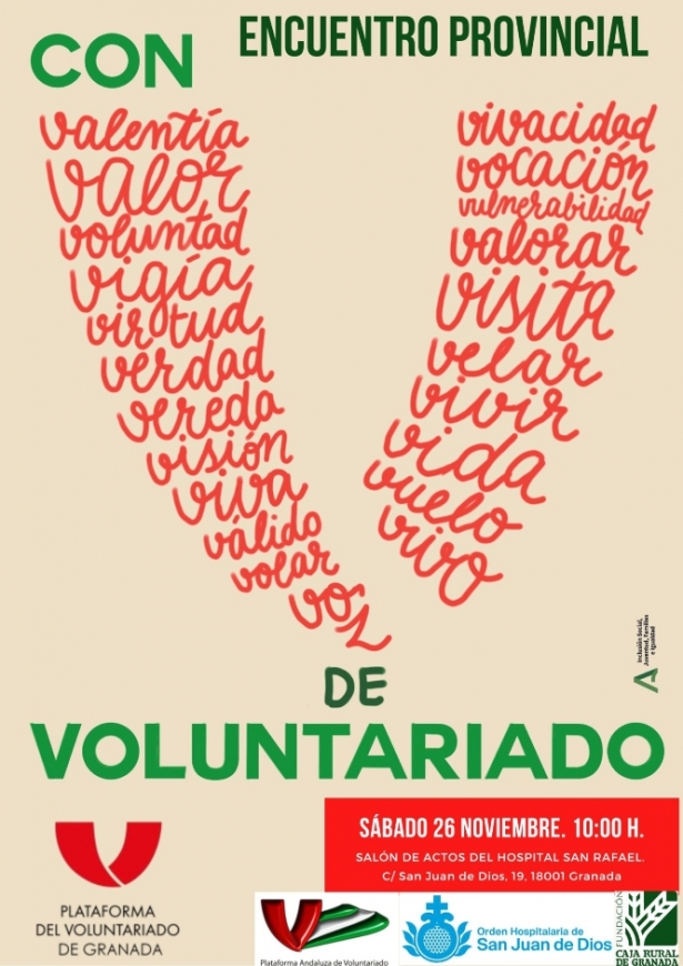 (PLATAFORMA DEL VOLUNTARIADO) (PLATAFORMA DEL VOLUNTARIADO)