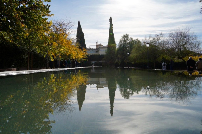 Parque Zen (AYUNTAMIENTO GRANADA) 