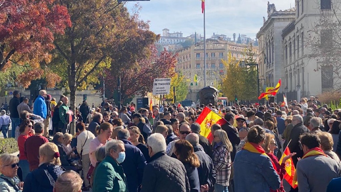 Manifestación en Granada (VOX) 