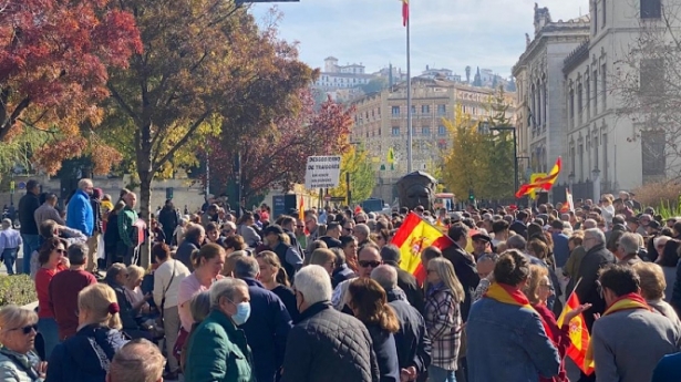 Manifestación en Granada (VOX) 