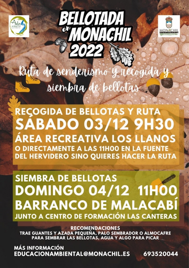 (AYUNTAMIENTO MONACHIL)