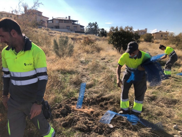 (AYUNTAMIENTO LA ZUBIA)