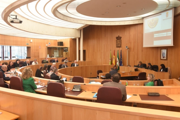 Pleno de Diputación (L. ARMAS/ DIPGRA) Pleno de Diputación (L. ARMAS/ DIPGRA)