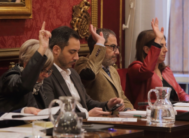 Pleno del ayuntamiento de Granada (AYUNTAMIENTO DE GRANADA) 