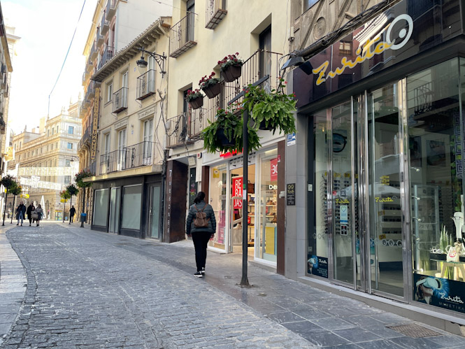Calle comercial (R. MARTÍNEZ/ DIPGRA)