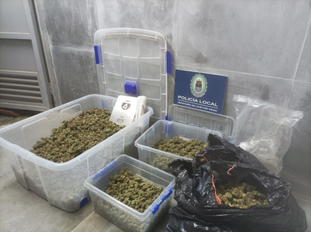 Marihuana incautada en Huétor Vega (AYTO. HUÉTOR VEGA)