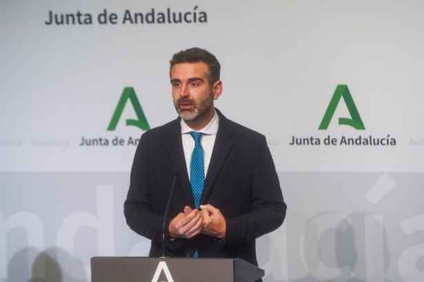 El consejero de Sostenibilidad, Medio Ambiente y Economía Azul y portavoz del Gobierno, Ramón Fernández-Pacheco, interviene en la rueda de prensa posterior al Consejo de Gobierno de la Junta de Andalucía (Eduardo Briones - Europa Press