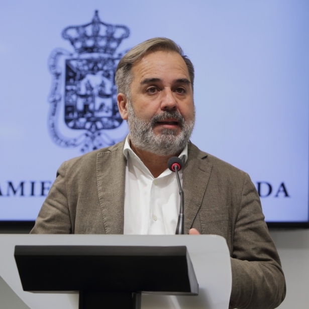 El portavoz del equipo de gobierno local, Jacobo Calvo (AYUNTAMIENTO DE GRANADA)