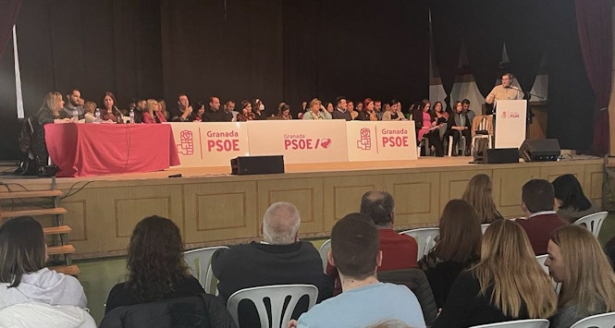 Comité Provincial del PSOE (PSOE)