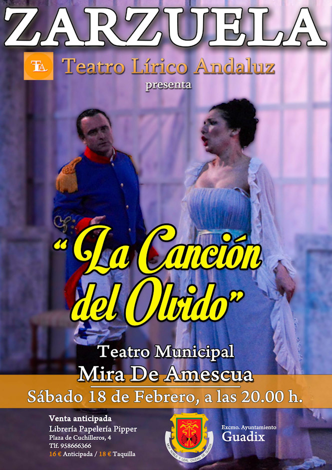 (AYUNTAMIENTO DE GUADIX)