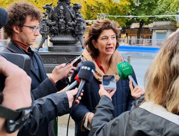 La diputada provincial de Unidas Podemos por Granada (UPporGr), Elisa Cabrerizo (UNIDAS PODEMOS)