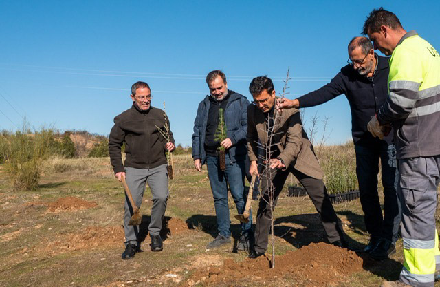 Imagen de la plantación de árboles (AYUNTAMIENTO DE GRANADA)