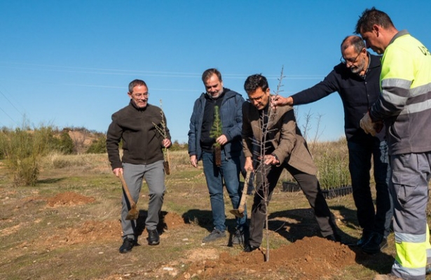 Imagen de la plantación de árboles (AYUNTAMIENTO DE GRANADA)