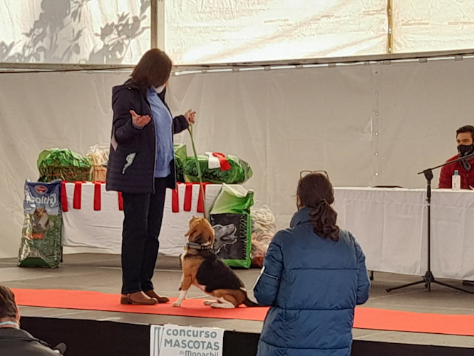 Edición del año pasado (AYTO. MONACHIL)