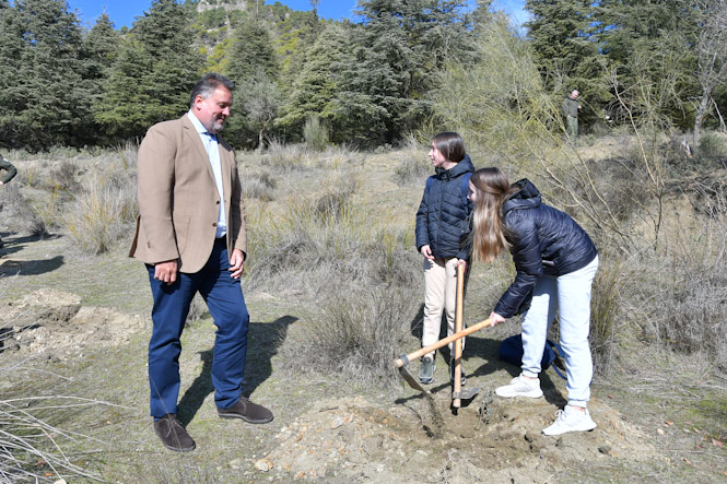 Plantación de árboles (JUNTA)