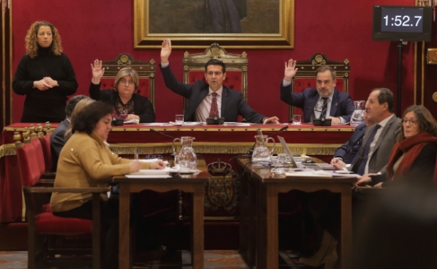 Pleno del Ayuntamiento de Granada ( AYUNTAMIENTO GRANADA)