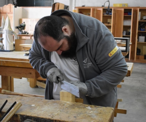 (CONSORCIO VEGA SIERRA ELVIRA) 