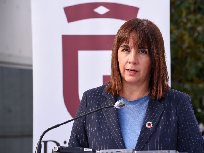 La diputada de Bienestar Social, Olvido de la Rosa (R. MARTÍNEZ / DIPGRA)