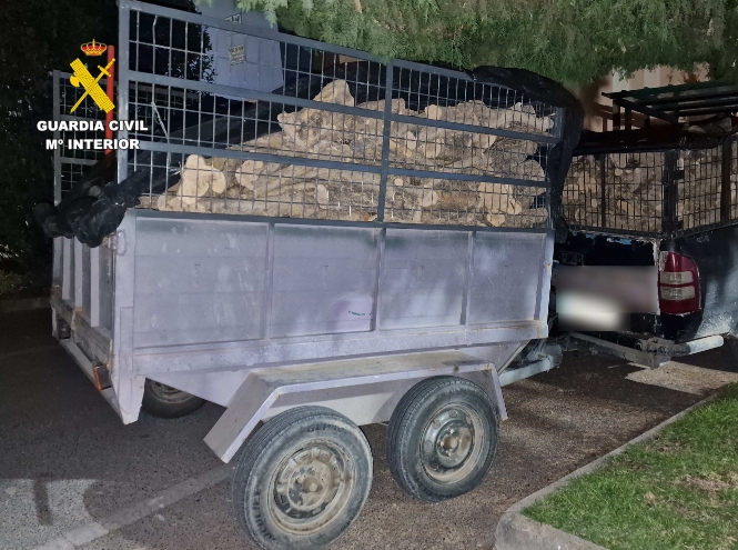 Imagen del remolque recuperado (GUARDIA CIVIL) 