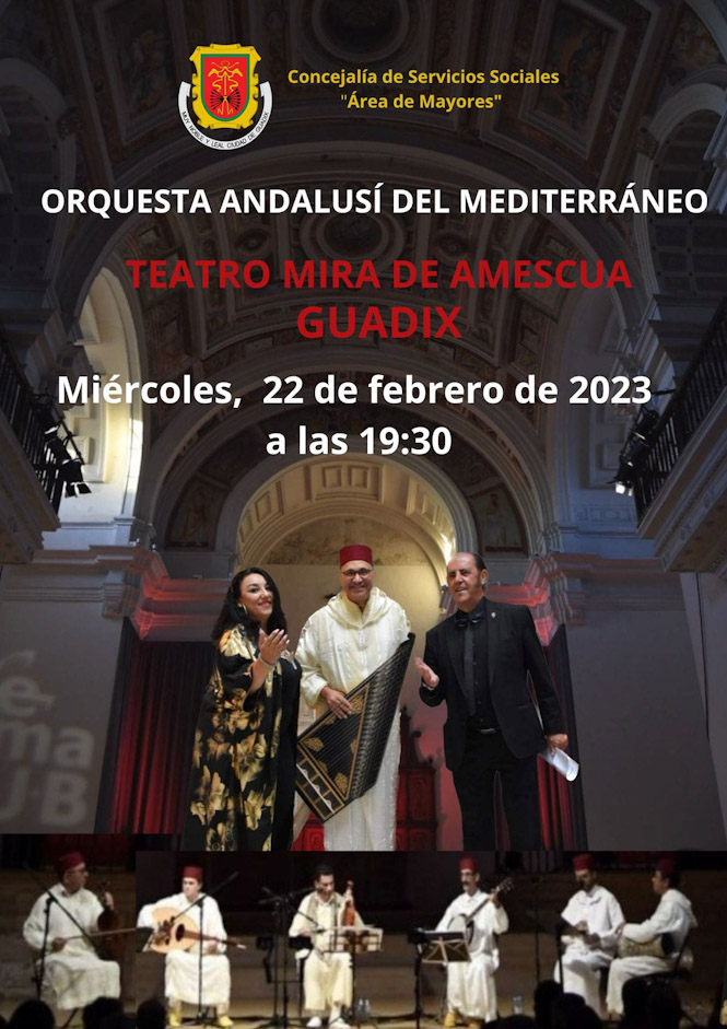 (AYUNTAMIENTO DE GUADIX)