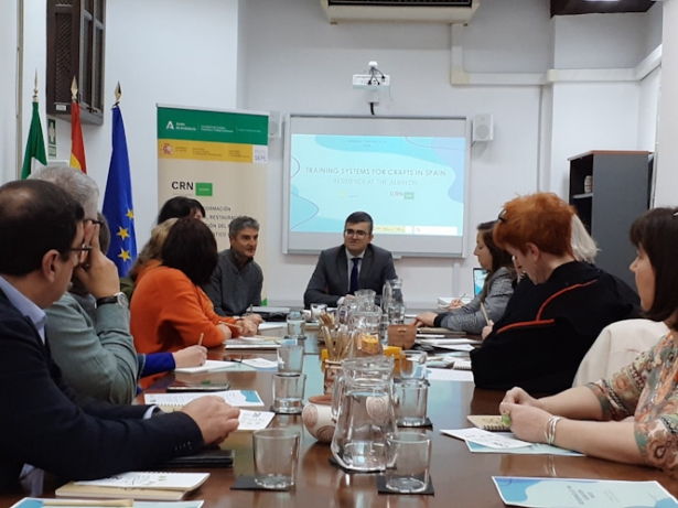 Imagen de la reunión (JUNTA)