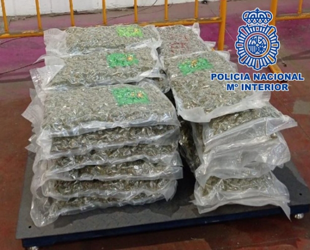 Marihuana intervenida (POLICÍA NACIONAL) Marihuana intervenida (POLICÍA NACIONAL)