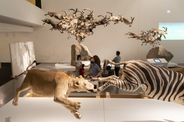 (PARQUE DE LAS CIENCIAS) (PARQUE DE LAS CIENCIAS)