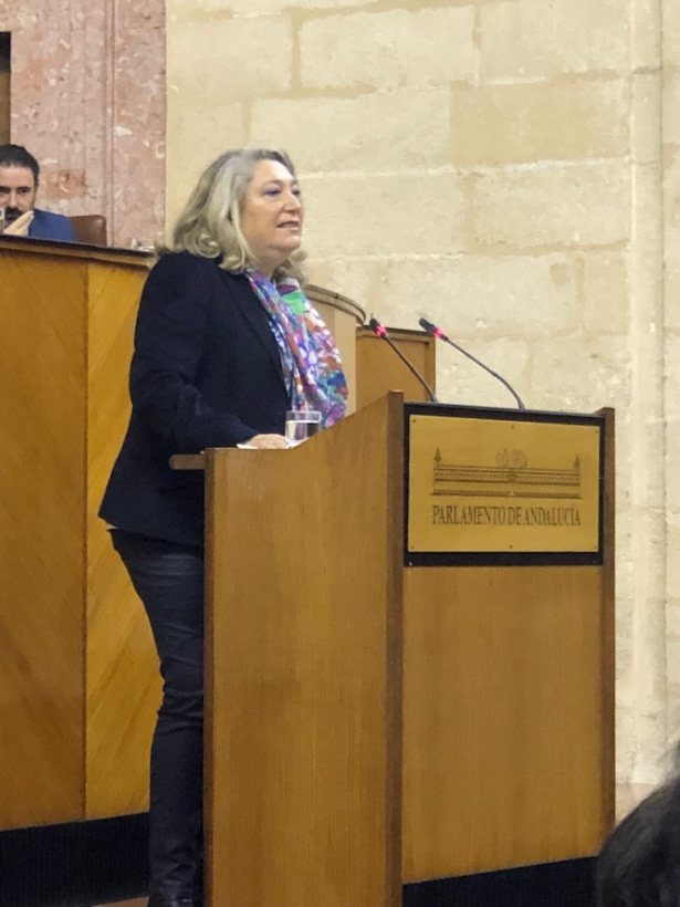 La parlamentaria andaluza del PP, Trinidad Herrera (PP)