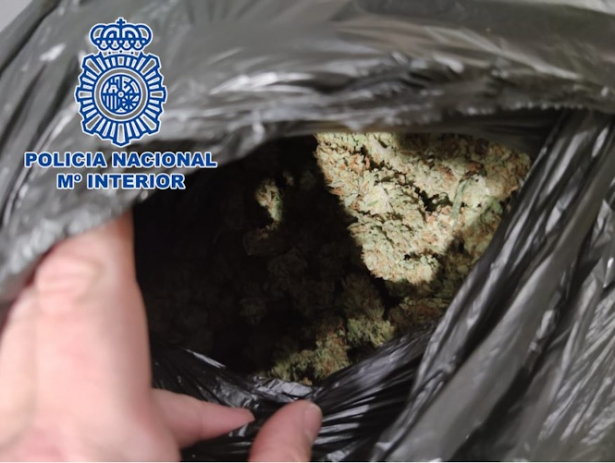 Marihuana incautada (POLICÍA NACIONAL) Marihuana incautada (POLICÍA NACIONAL)