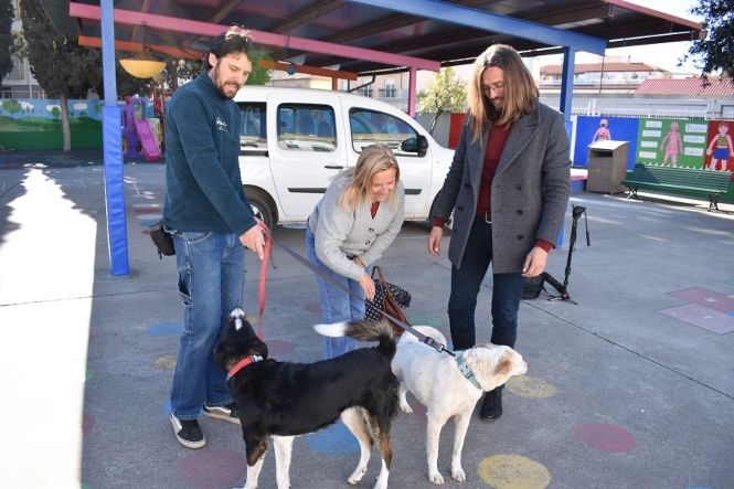 Presentación de la terapia con perros en el Colegio Ave María (AYTO. ALBOLOTE)