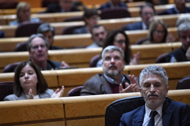 El ministro del Interior, Fernando Grande-Marlaska, durante una sesión de control al Gobierno en el Senado (FERNANDO SÁNCHEZ - EUROPA PRESS)