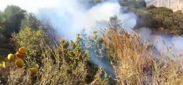 Lugar del incendio (INFOCA) Lugar del incendio (INFOCA)