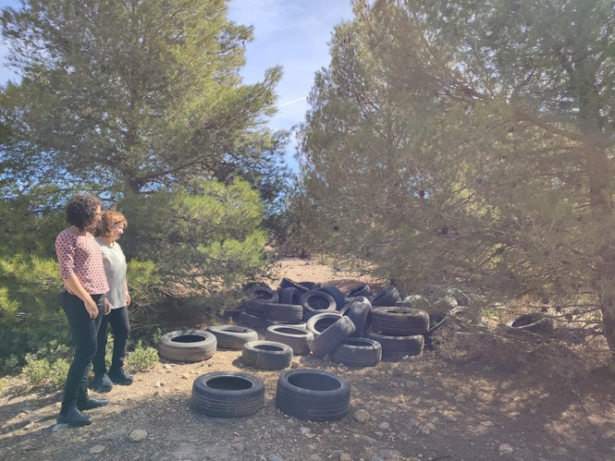 (IU GUADIX) (IU GUADIX)