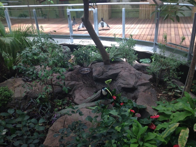 Espacio del Biodomo del Parque de las ciencias de Granada. (ARCHIVO. - EUROPA PRESS)