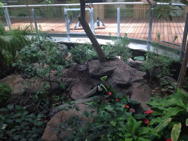 Espacio del Biodomo del Parque de las ciencias de Granada. (ARCHIVO. - EUROPA PRESS)