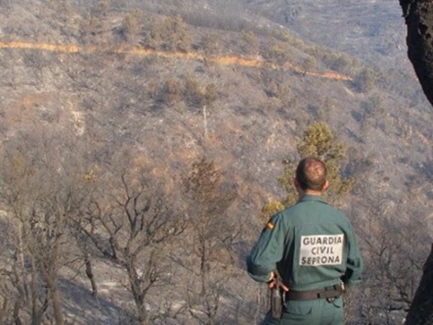 Agente de la Guardia Civil en un área forestal de la provincia de Granada (GUARDIA CIVIL) Agente de la Guardia Civil en un área forestal de la provincia de Granada (GUARDIA CIVIL)