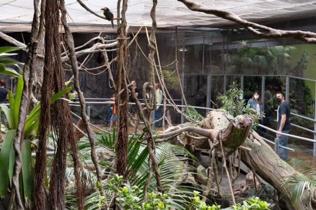 Un espacio del Biodomo del Parque de las Ciencias de Granada, en imagen de archivo (ARSENIO ZURITA) 