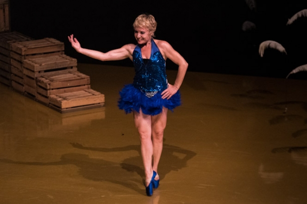 Malditas Plumas (JORDI VIDAL) Malditas Plumas (JORDI VIDAL)