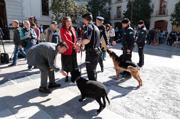 Jornadas de instrucción de unidades caninas (AYTO. GRANADA)