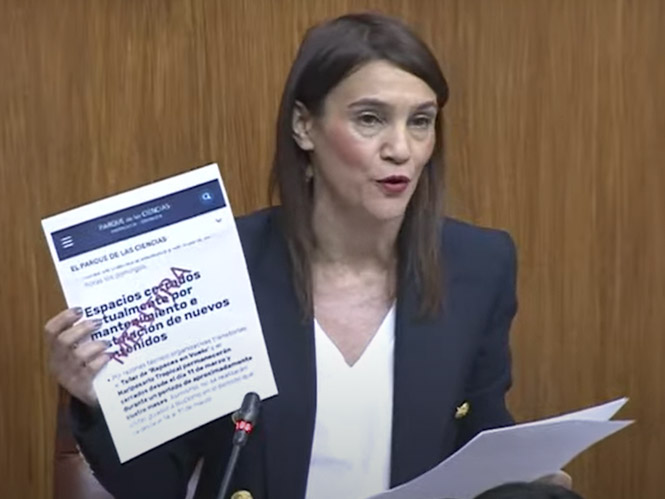 La parlamentaria andaluza del PSOE, Olga Manzano (PSOE)