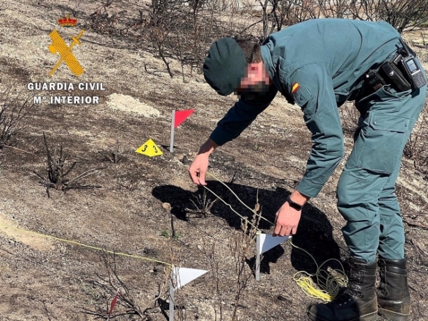 Agente del Seprona en una imagen de archivo (GUARDIA CIVIL) Agente del Seprona en una imagen de archivo (GUARDIA CIVIL)