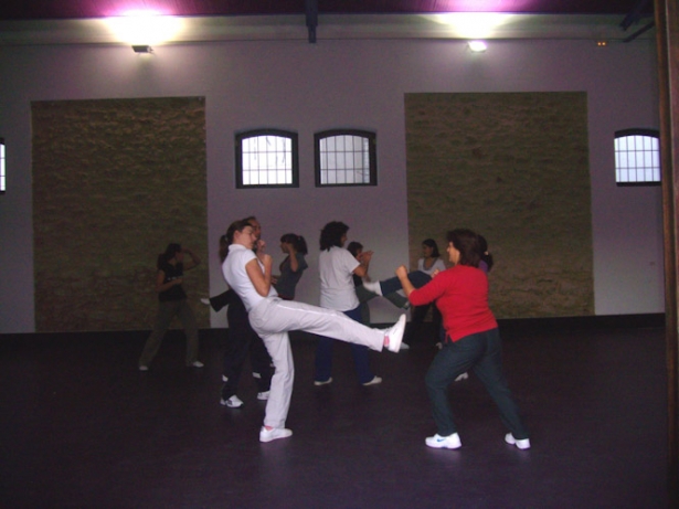 Curso anterior de defensa personal celebrado en Montefrío (AYTO. MONTEFRIO)