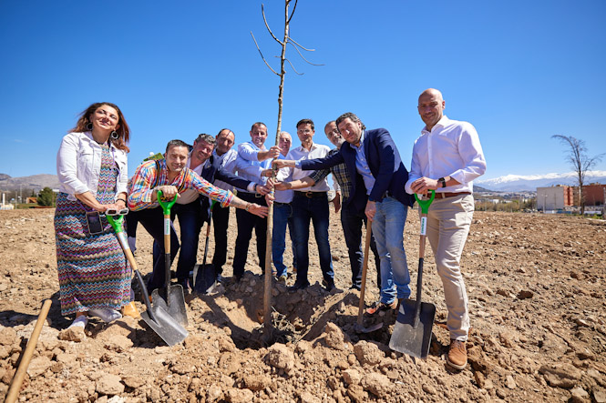 Plantación de árboles (AYUNTAMIENTO GRANADA)