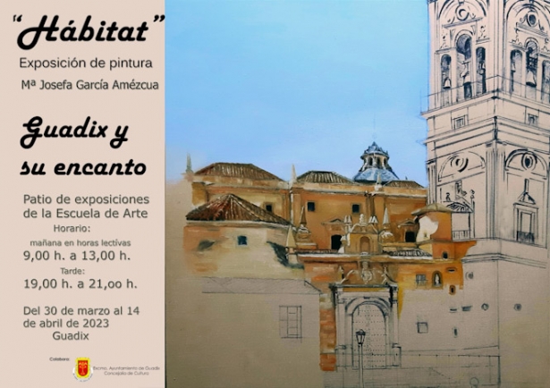 (AYUNTAMIENTO DE GUADIX)