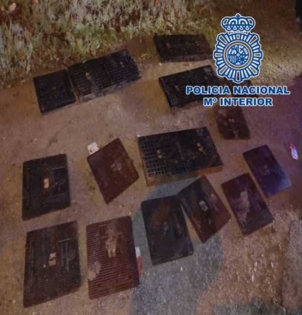 Tapas de registro sustraídas (POLICIA NACIONAL) Tapas de registro sustraídas (POLICIA NACIONAL)