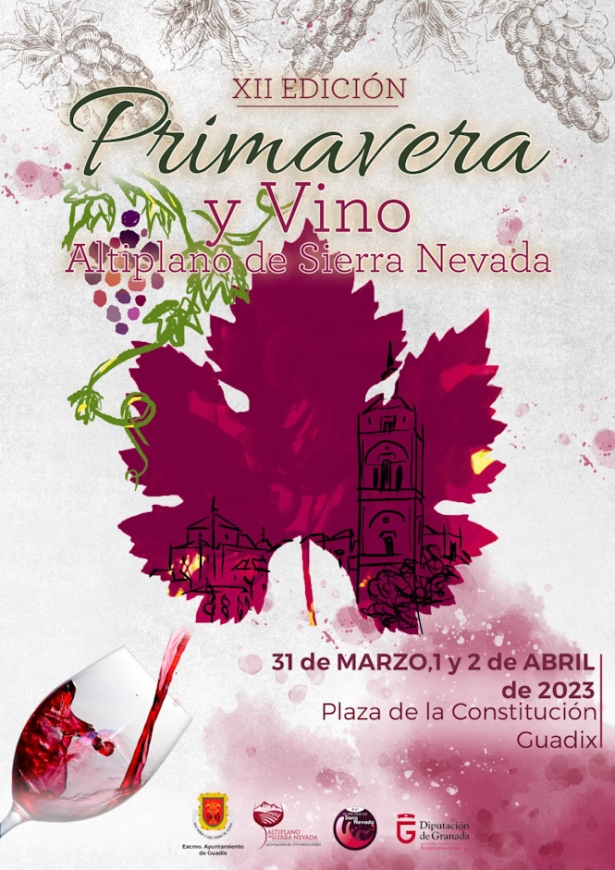 (AYUNTAMIENTO DE GUADIX)