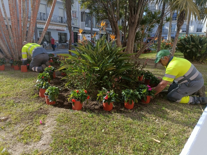 Sembrado de las nuevas plantas (AYTO. ALMUÑÉCAR)