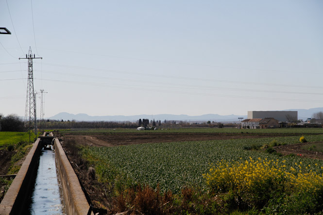 Vega de Granada (ASAJA)